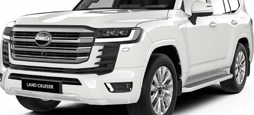 Private Arrival Transfer - West Bay Or Pearl Qatar
