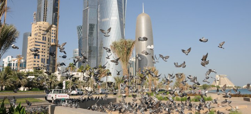 Shared Doha Express Tour