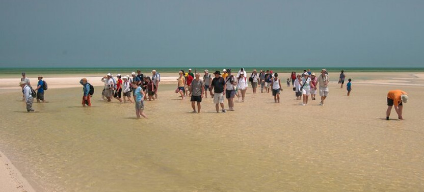 Private Zubara North Coast Tour