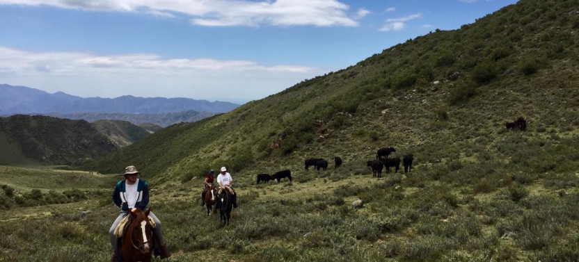 2 Day - Horseback Riding Trekk Through The Andes Mountains