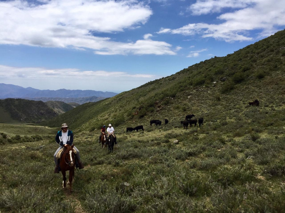 2 Day - Horseback Riding Trekk Through The Andes Mountains