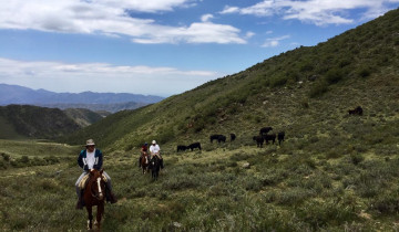 A picture of 2 Day - Horseback Riding Trekk Through The Andes Mountains