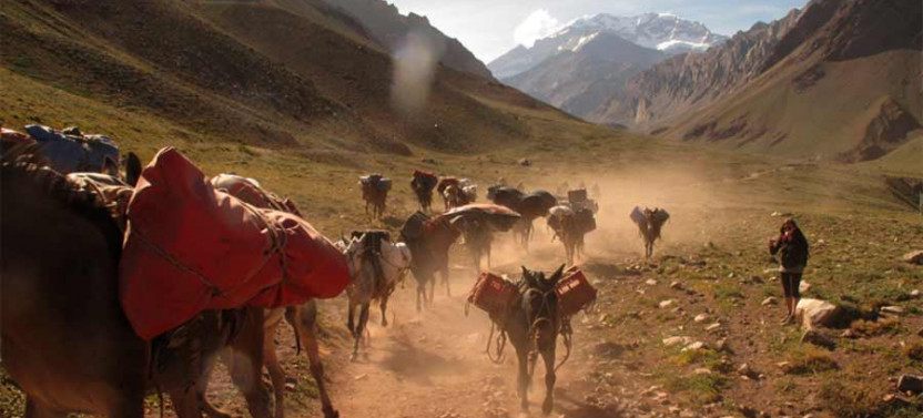 3 Day Trip - Aconcagua South Face Trekking (Plaza Francia)