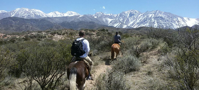 Full Day Horseback Riding In Mendoza
