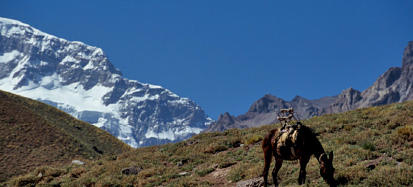 Full Day Mount Aconcagua Confluencia Base Camp Trek from Mendoza