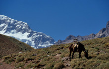 Andes Vertical Mountain Guides3