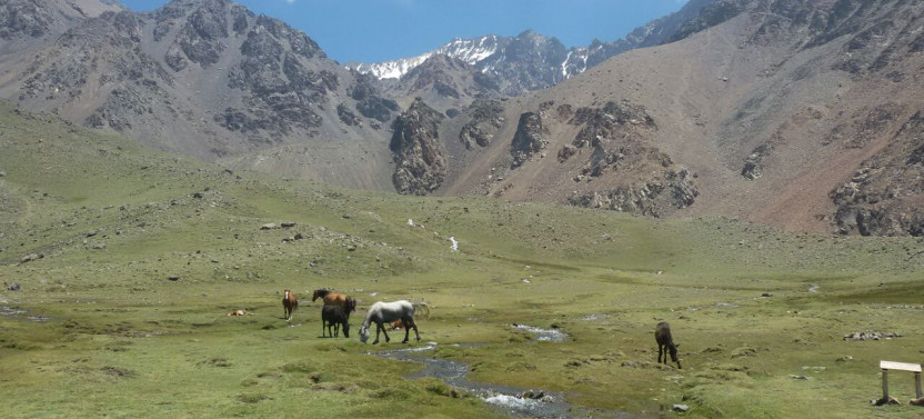 6 Day - Mount Plata Mountaineering Trip