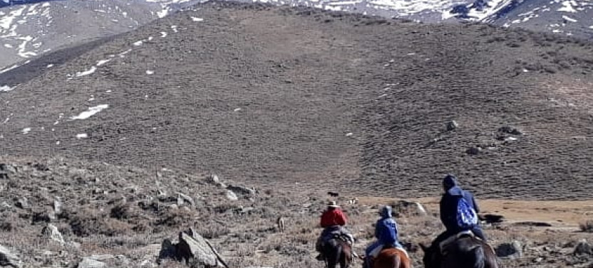 6 Day - Andes Crossing From Mendoza To Chile By Horse