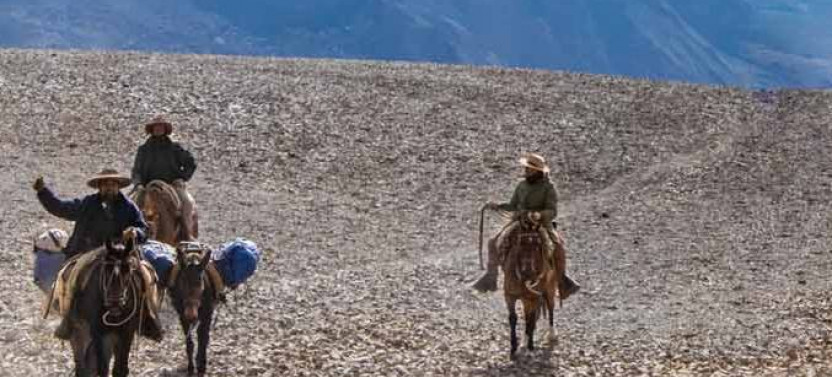6 Day - Andes Crossing From Mendoza To Chile By Horse