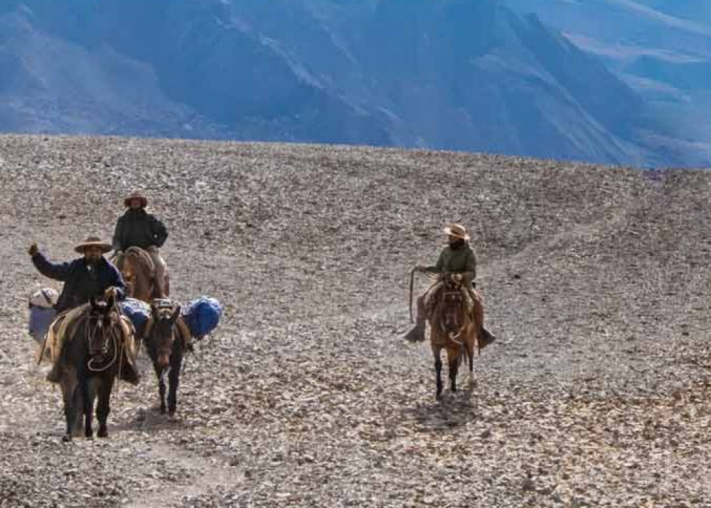 Andes Vertical Mountain Guides