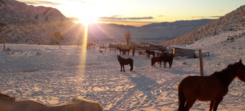 6 Day - Andes Crossing From Mendoza To Chile By Horse