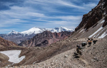 6 Day - Andes Crossing From Mendoza To Chile By Horse