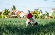 Hoi An Express Travel3