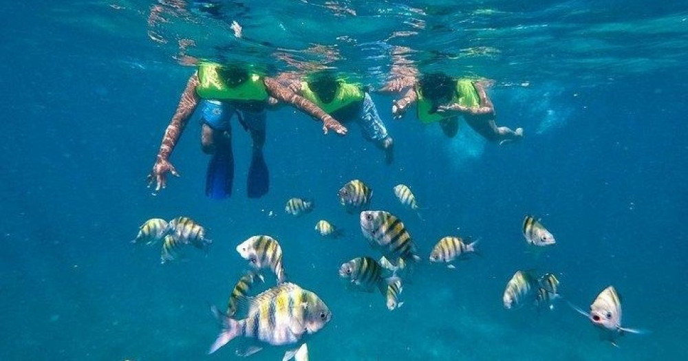 Private Bayahibe Snorkeling Experience Bayahibe Project Expedition