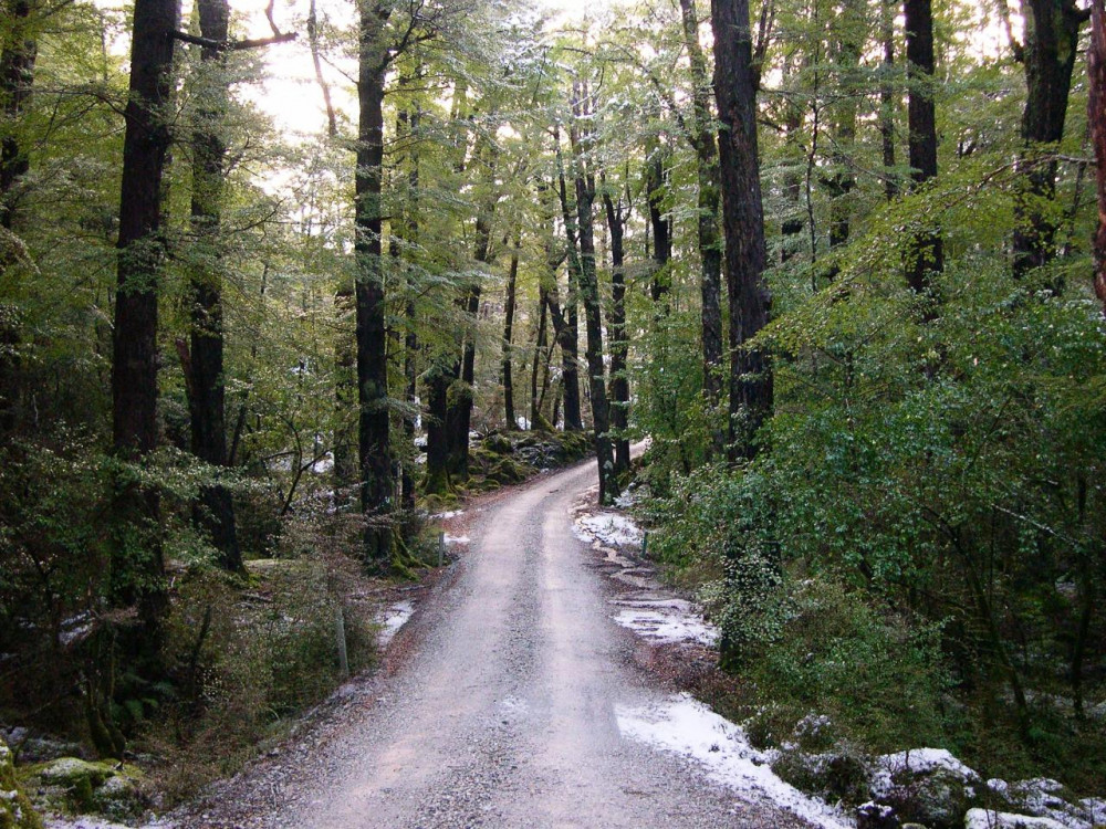 Routeburn Guided Walk Half Day