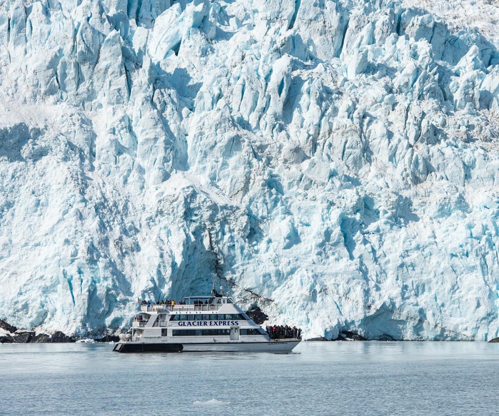 7.5 HR Kenai Fjords National Park Holgate & Aialik Glaciers Seward
