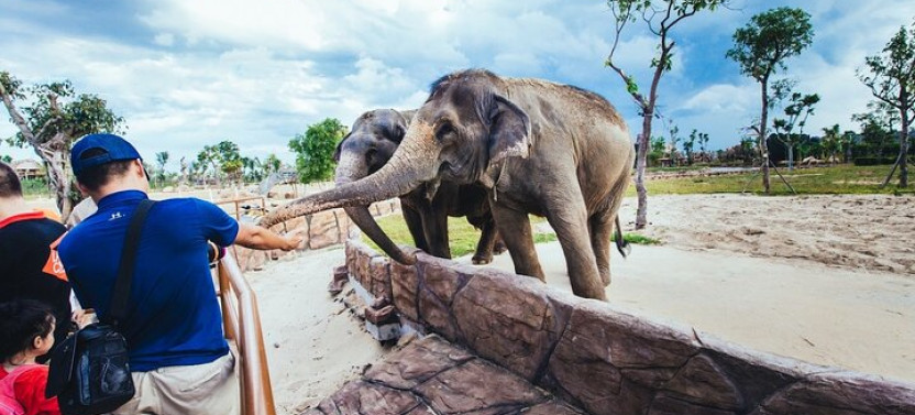 Da Nang: South Hoi An River Safari With Candle-lit Beach Dinner
