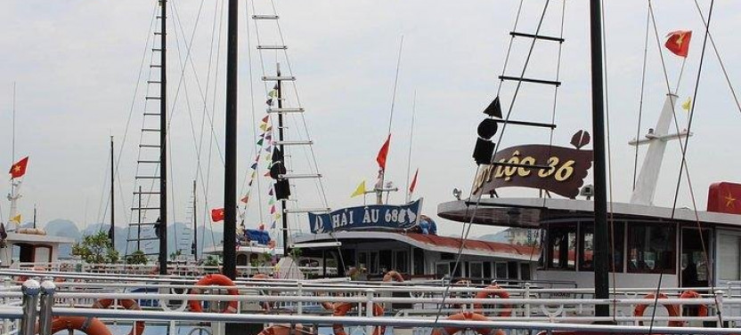 Ha Noi: Full-day Exploring Ha Long Bay Wonders