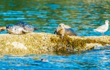 Vancouver Water Adventures4