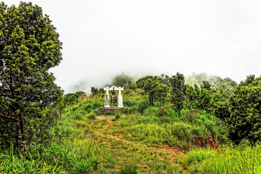 Bach Ma National Park Full-Day Trekking Tour From Da Nang