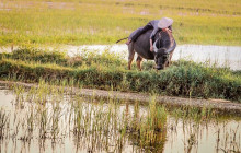 Hoi An Express Travel4