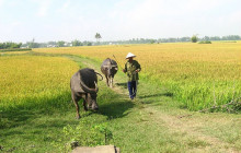 Hoi An Express Travel5