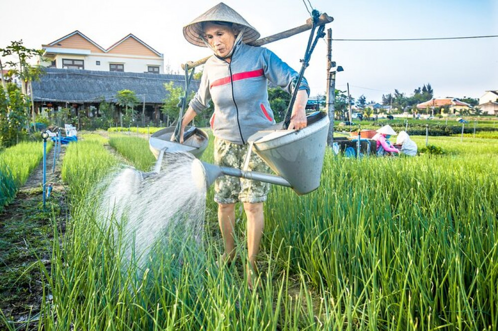 Half-Day Tra Que Village From Hoi An