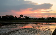 Hoi An Express Travel2