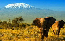 2-day Amboseli Safari From Nairobi