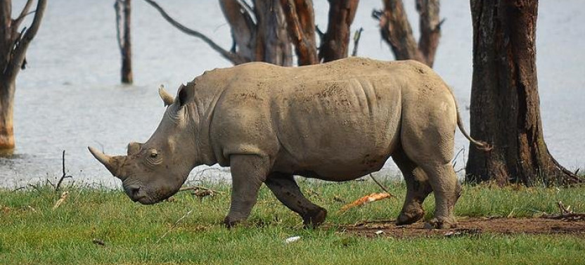 2-Day Safari to Hell's Gate, Naivasha And Nakuru