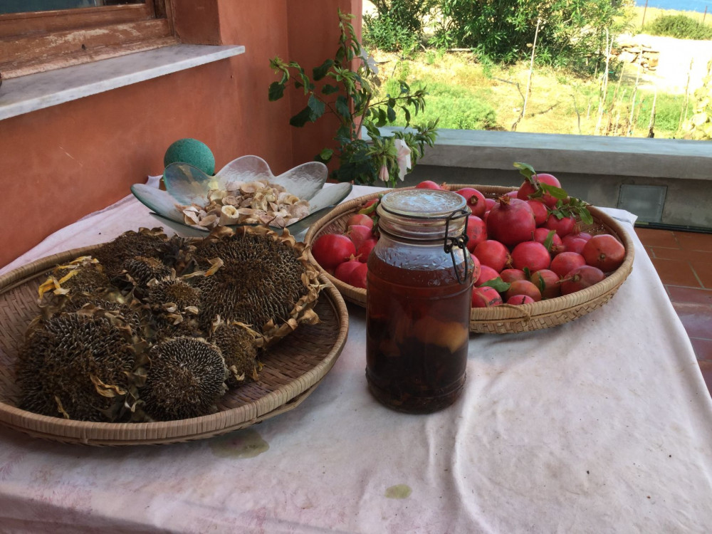 Private Authentic Cretan Cooking Lesson And Meal In Panormos