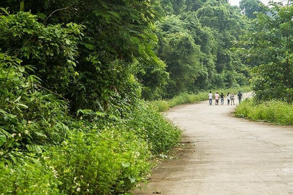 Cuc Phuong National Park Full-Day Tour From Ha Noi