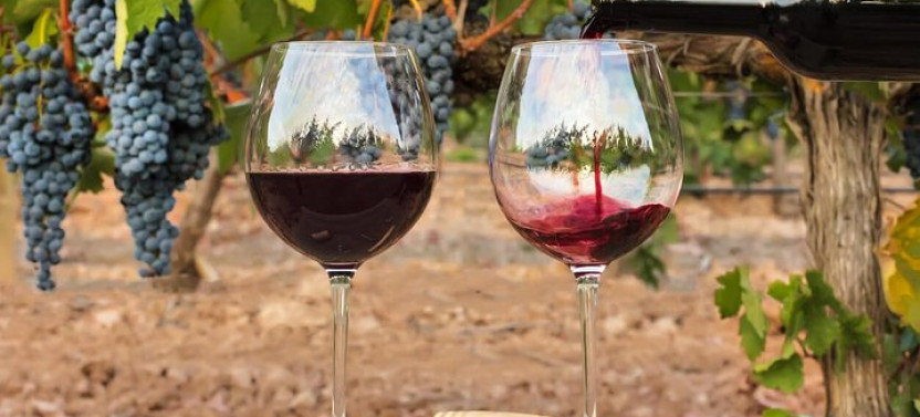 7-Days Unique Experience visiting the best Chilean&Argentinean Wine Valley