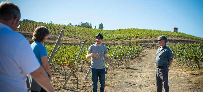7-Days Unique Experience visiting the best Chilean&Argentinean Wine Valley