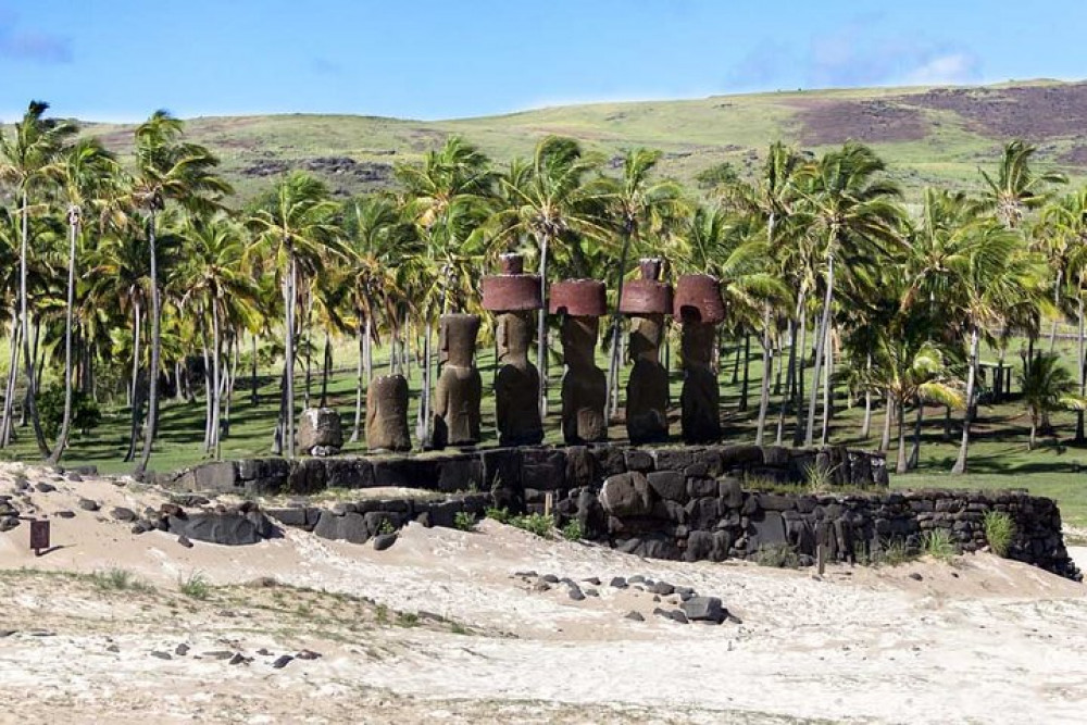 7-Days Experience at Casablanca Valley & Easter Island - Wine and Culture