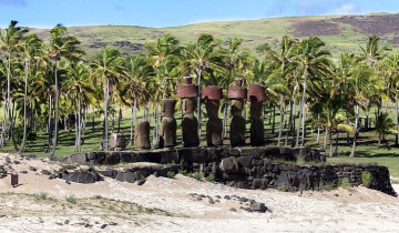 A picture of 7-Days Experience at Casablanca Valley & Easter Island - Wine and Culture