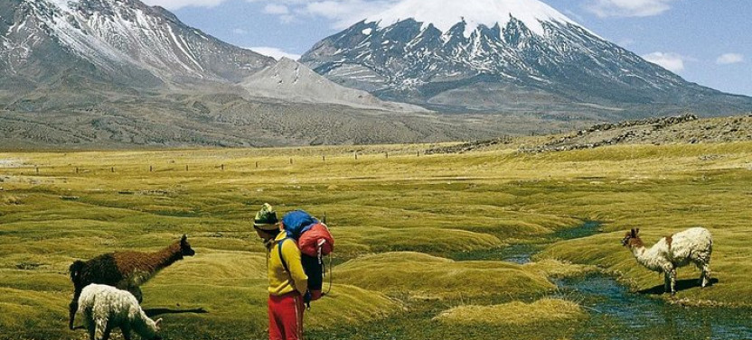 4-Days Unique Experience at the Chilean High Plateau