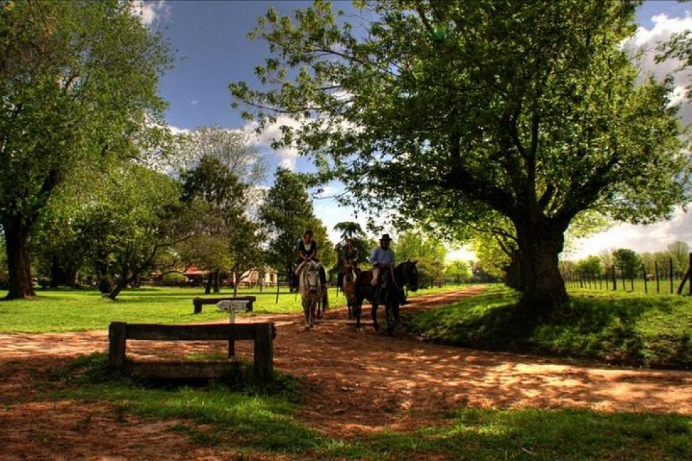 2 Days and 1 Night in Areco Tour