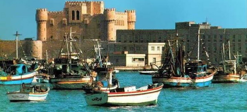 Alexandria Day Tour From Alexandria Port
