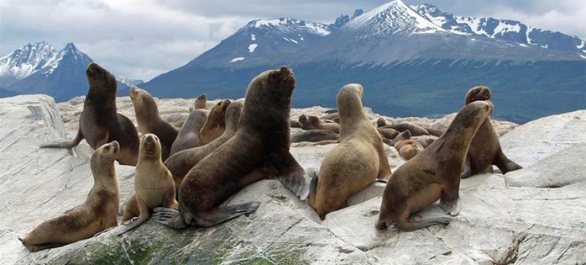 5-Days Discovery Ushuaia and El Calafate