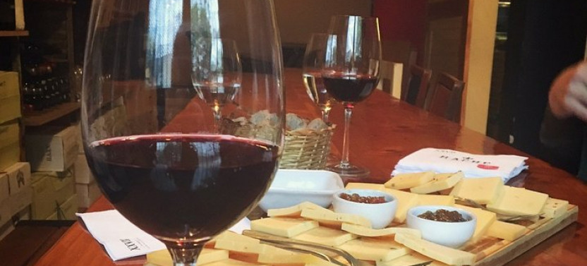 Small Group Argentinian Wines and Malbec Tasting Experience