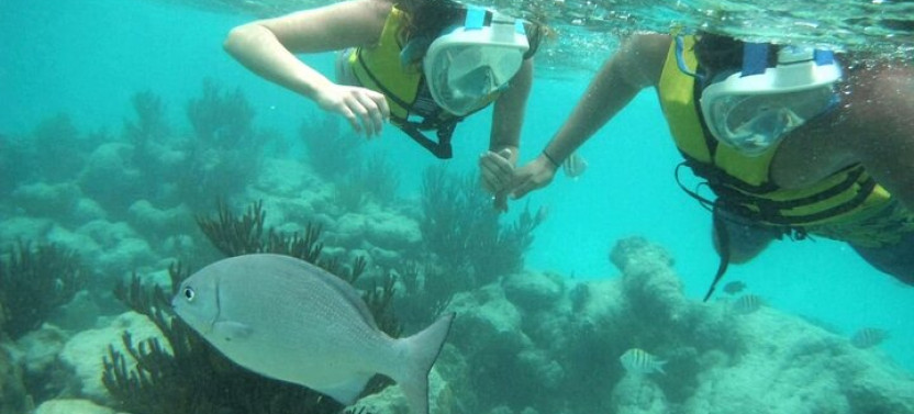 Exotic Half A Day Tour: Cenote Cave And Swimming With Turtles
