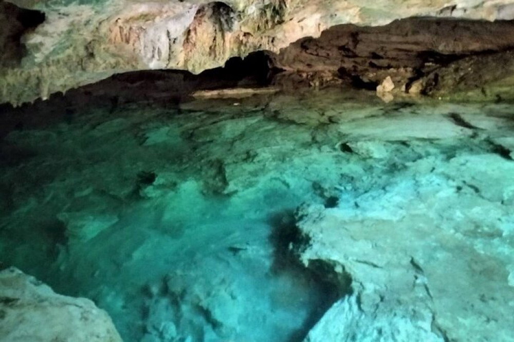 Exotic Half A Day Tour: Cenote Cave And Swimming With Turtles - Playa ...
