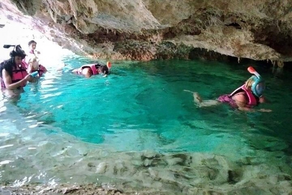 Exotic Half A Day Tour: Cenote Cave And Swimming With Turtles - Playa ...