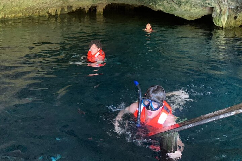 Exotic Half A Day Tour: Cenote Cave And Swimming With Turtles - Playa ...