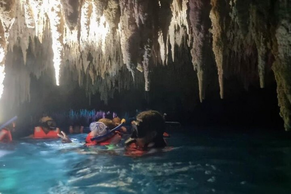 Exotic Half A Day Tour: Cenote Cave And Swimming With Turtles - Playa ...