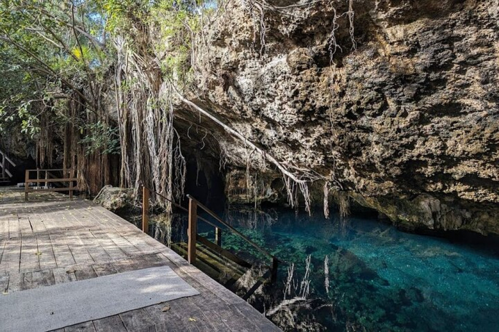 Exotic Half A Day Tour: Cenote Cave And Swimming With Turtles - Playa ...