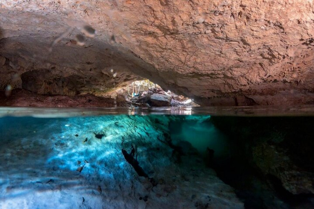 Private Half Day Tour In Cenote Cave And Swimming With Turtles - Playa ...