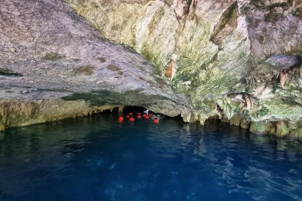 Private Half Day Tour In Cenote Cave And Swimming With Turtles - Playa ...
