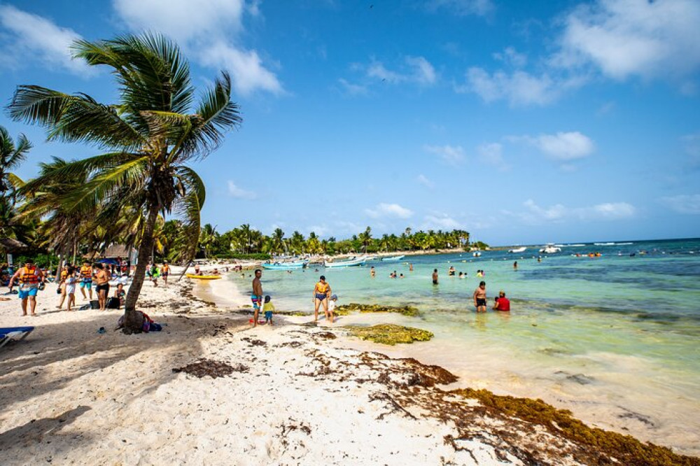Private Half Day Tour In Cenote Cave And Swimming With Turtles - Playa ...